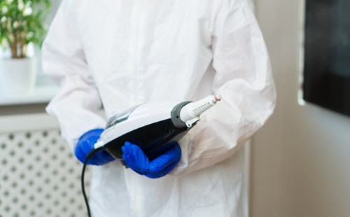 How To Find the Best Bedbugs Exterminators?