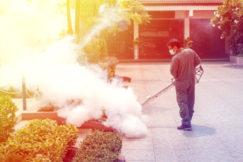 Mistakes to Avoid When Using Mosquito Fogger