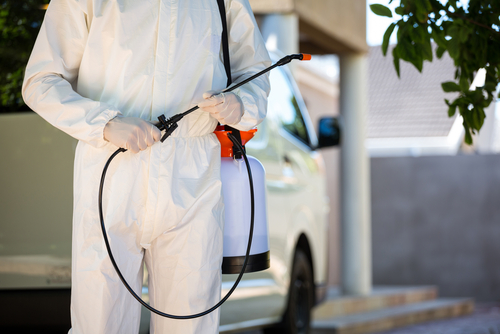 Mistakes to Avoid When Using Mosquito Fogger