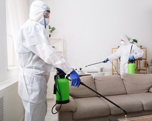 Mistakes to Avoid When Using Mosquito Fogger