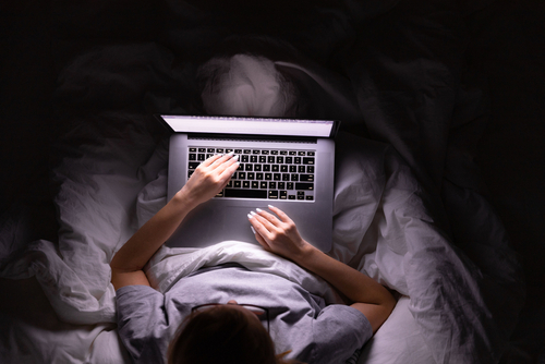 How to Choose the Best Bird Control Specialists?