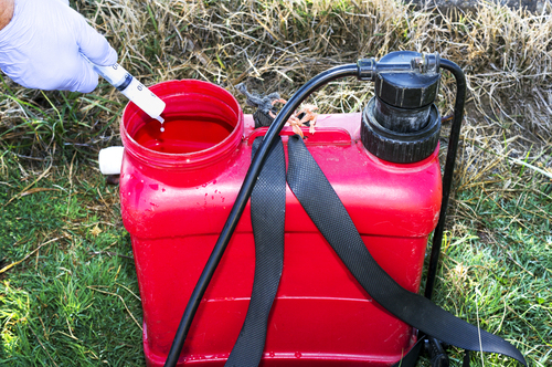 How to Choose the Best Bird Control Specialists?