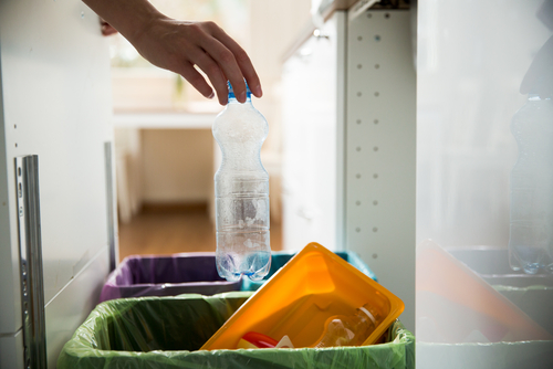 House Cleaning After Pest Control Service