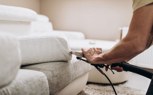 House Cleaning After Pest Control Service
