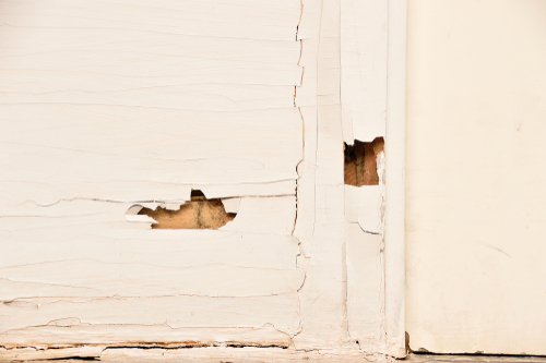 Are Termites Hard To Get Rid Of?