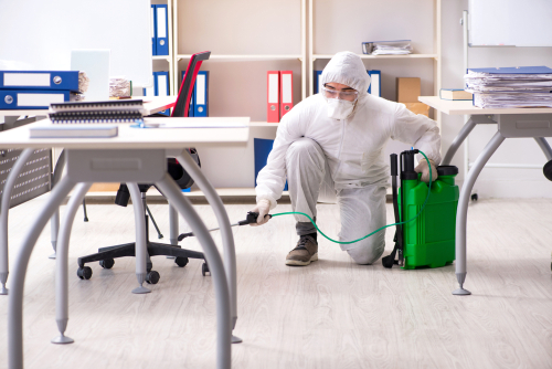 Why Choose Us As Your Monthly Office Pest Control Service Provider? 