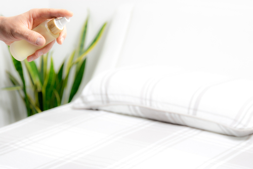 Eco-Friendly Bed Bug Sprays