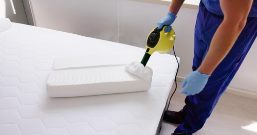 Natural Bed Bug Remedies