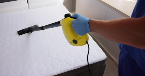 Why Choose Us As Your Bed Bugs Control Company
