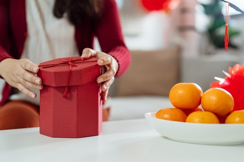 Pest Control and Prevention for a Clean CNY in Singapore