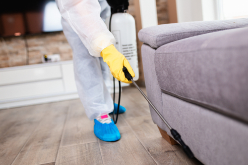 Comparing Fumigation to Mechanical Pest Control