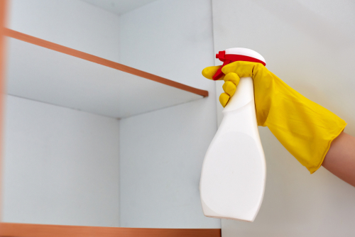 What Doesn’t Work in DIY Pest Control