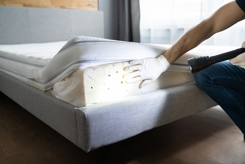 Cleaning-and-Disinfecting-Surrounding-Areas
